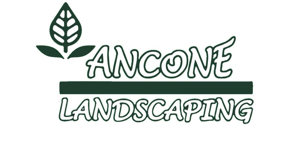 Photo of Ancone Landscaping