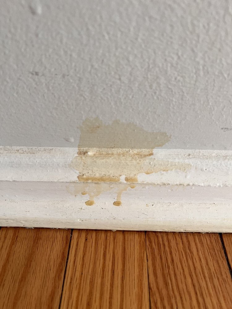 Photo of Matt's Professional Flooring