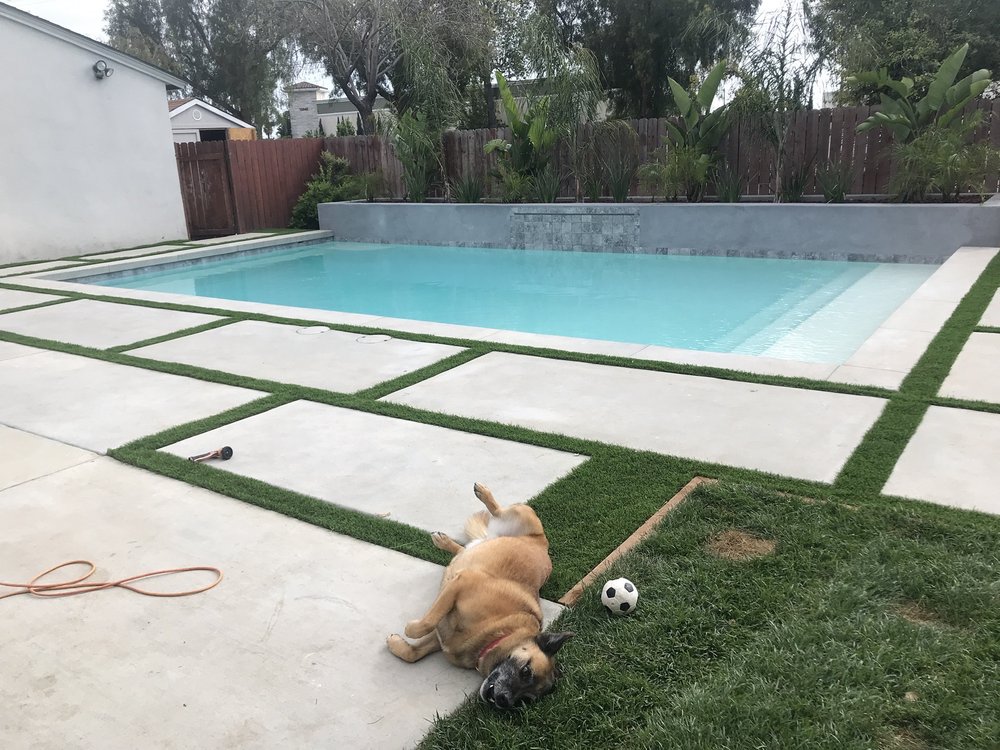 Photo of LUXE H2O Pool Builders