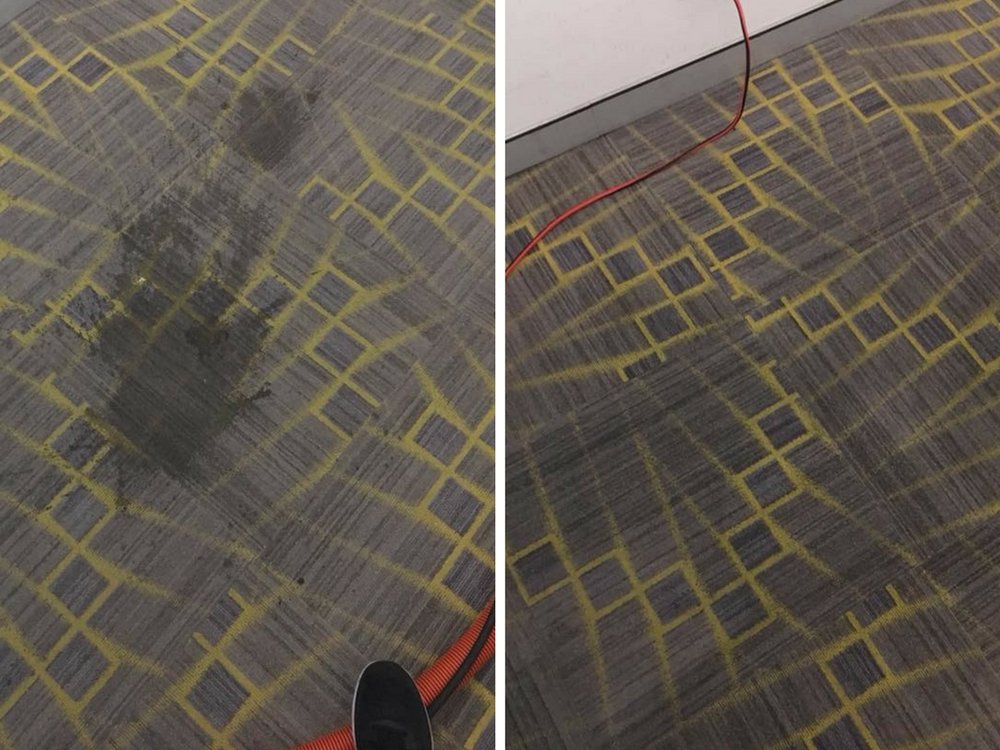 Photo of Go Green Carpet Clean