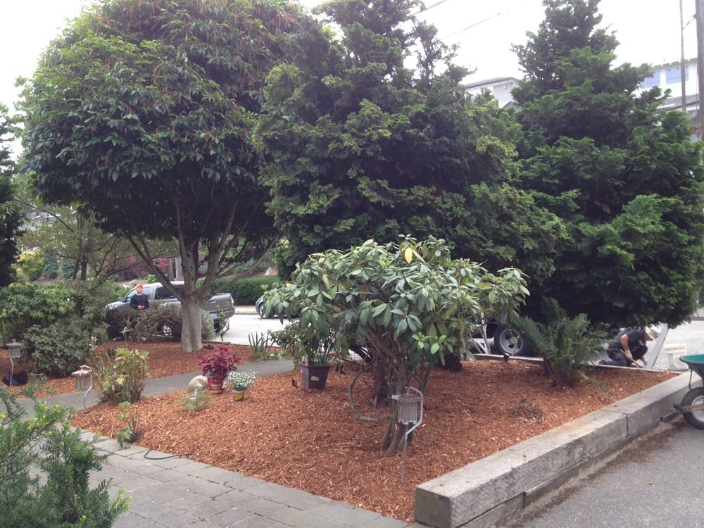 Photo of Urban Jungle