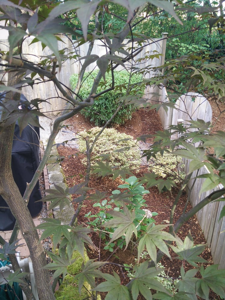 Photo of Urban Jungle