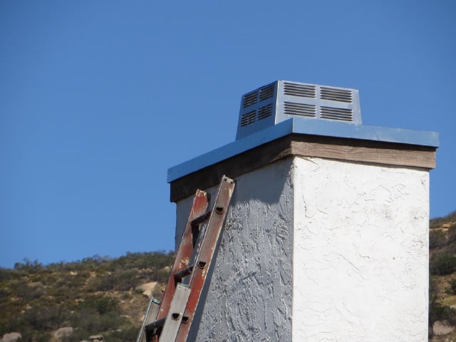 Photo of Chimney Crickets