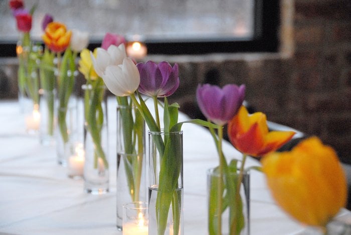 Photo of Topiarius - Urban Garden & Floral Design