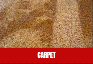 Photo of Carpet Cleaning by Cummins