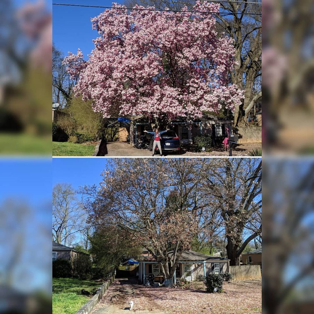 Photo of Grantlanta Lawn