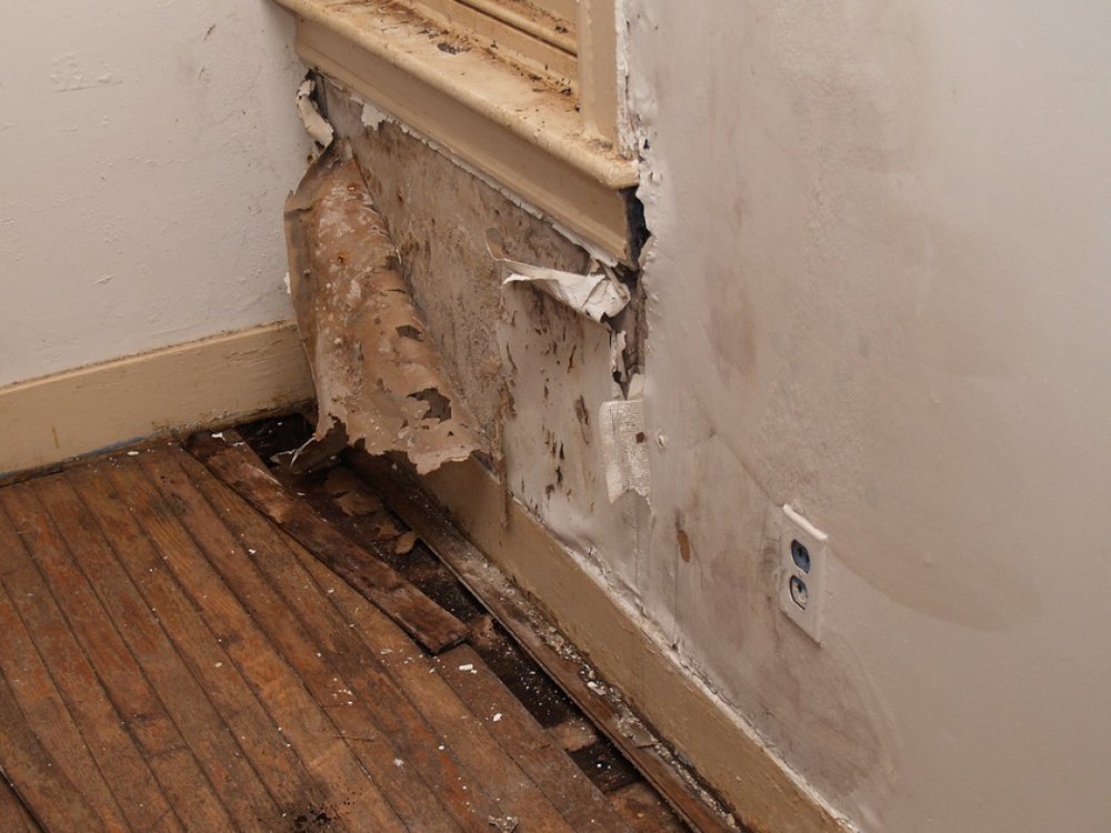 Photo of Water Damage 858