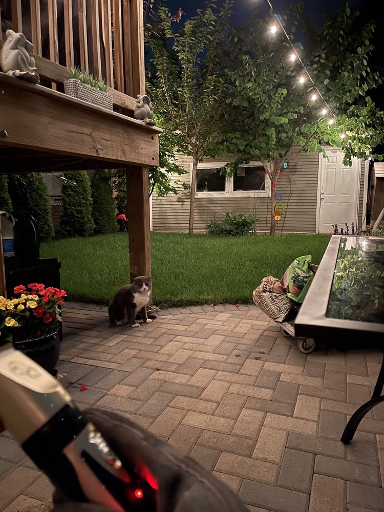 Photo of Salvador's Landscaping