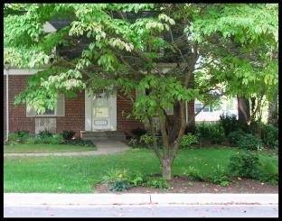 Photo of Yard by Yard Makeovers