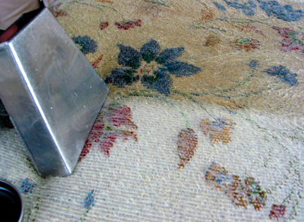 Photo of MWI Fiber-Shield