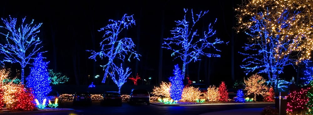 Photo of TX Christmas Light Installers
