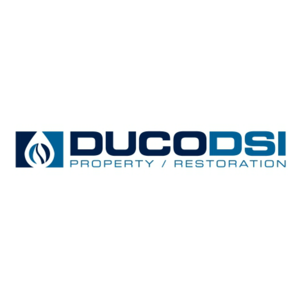 Photo of Duco DSI