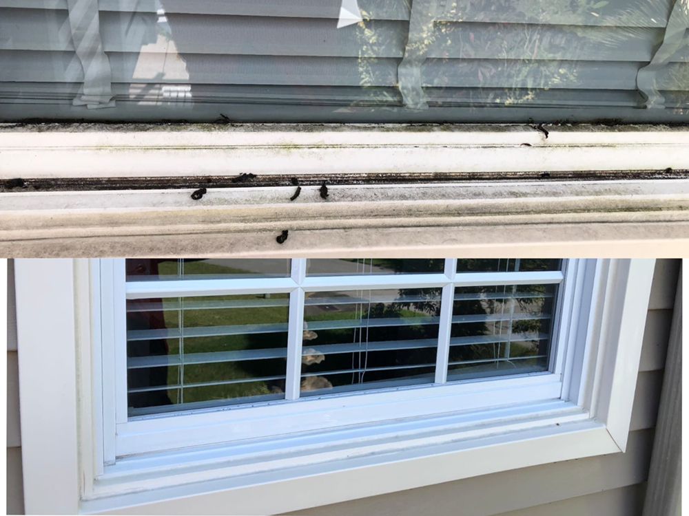 Photo of Daniel's Window Cleaning