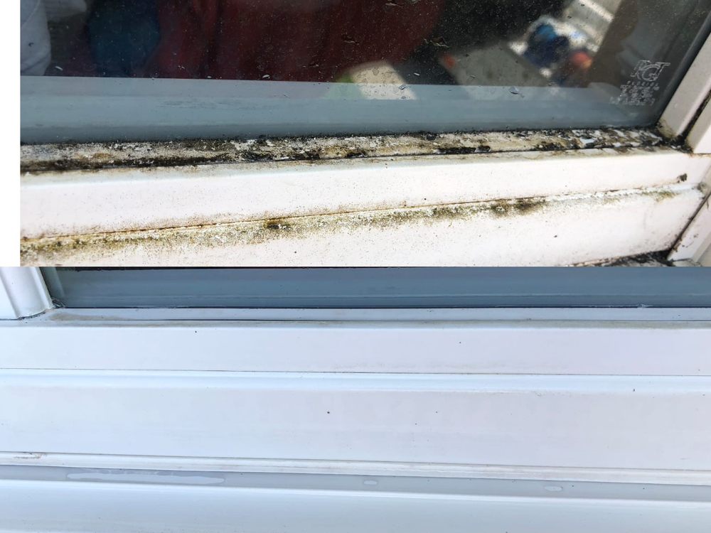Photo of Daniel's Window Cleaning