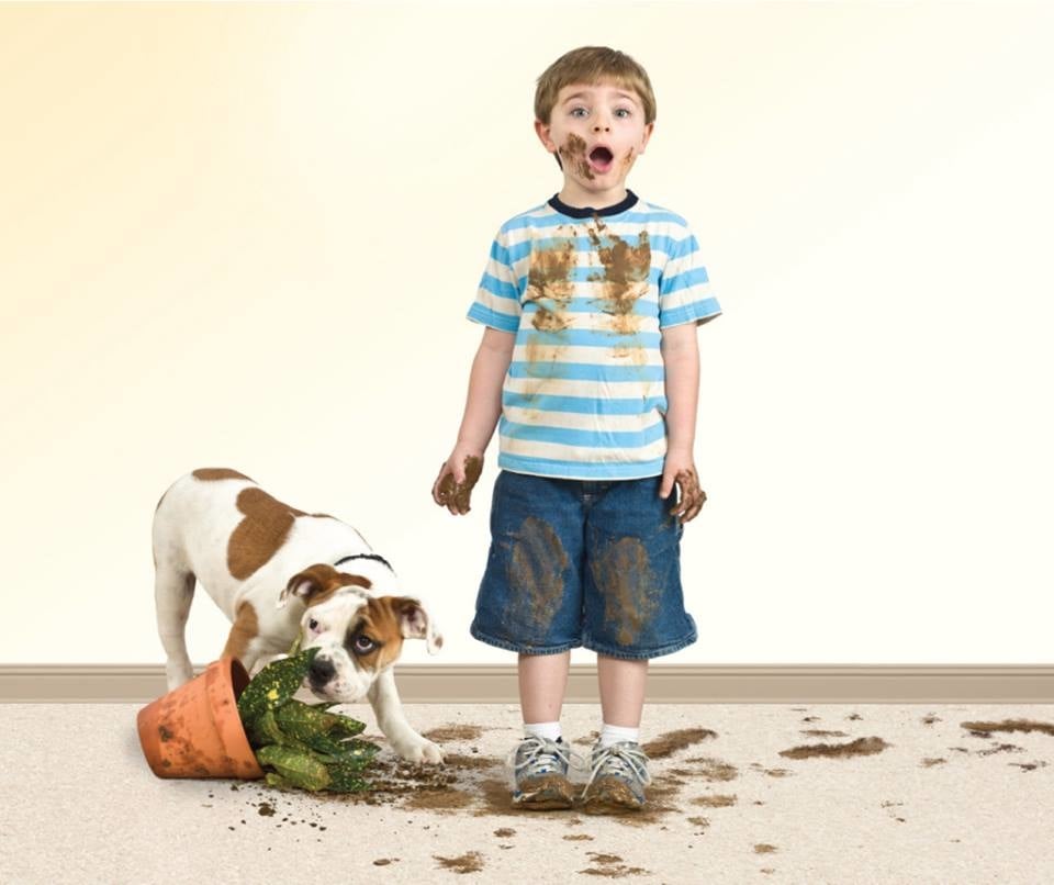 Photo of Indy Carpet Cleaning
