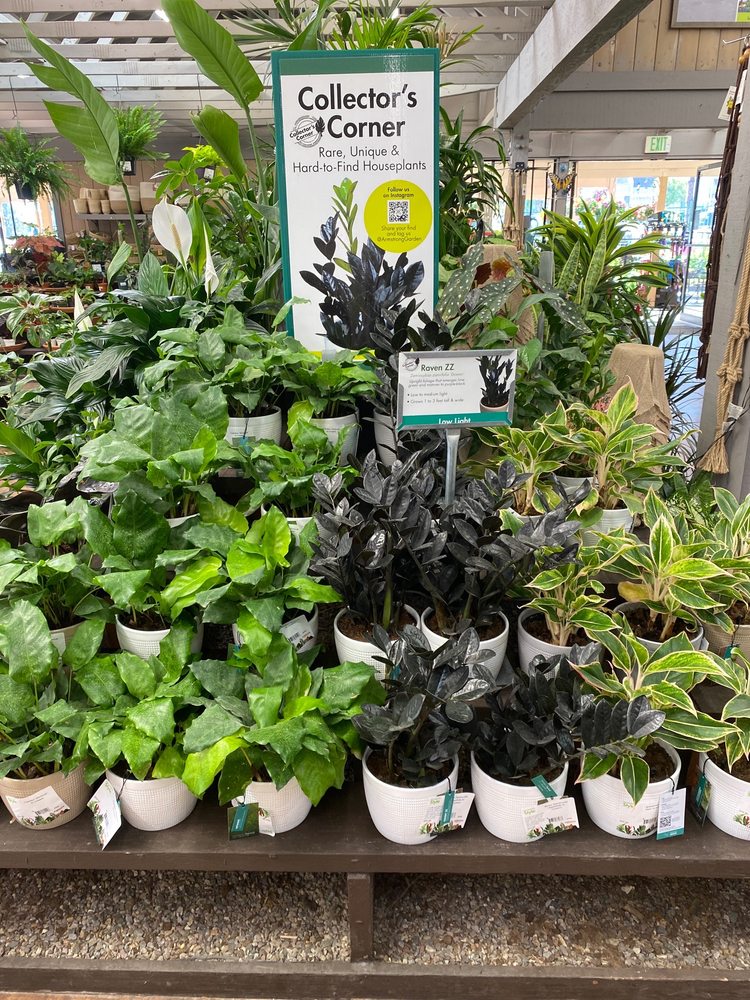 Photo of Armstrong Garden Centers