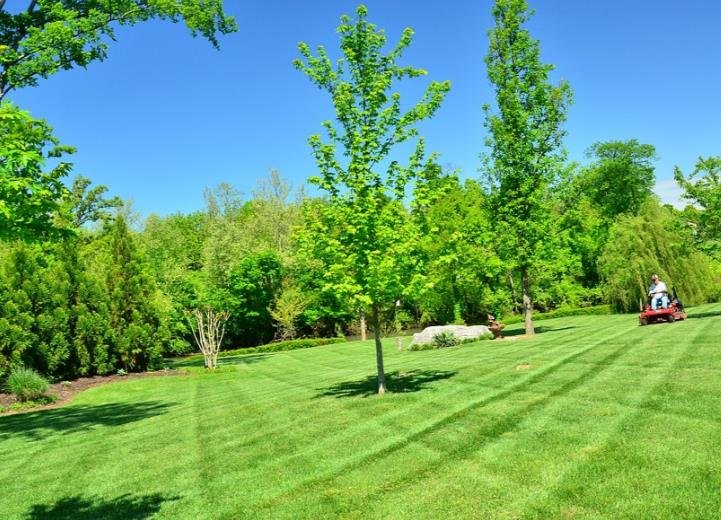 Photo of Premium Lawn Service
