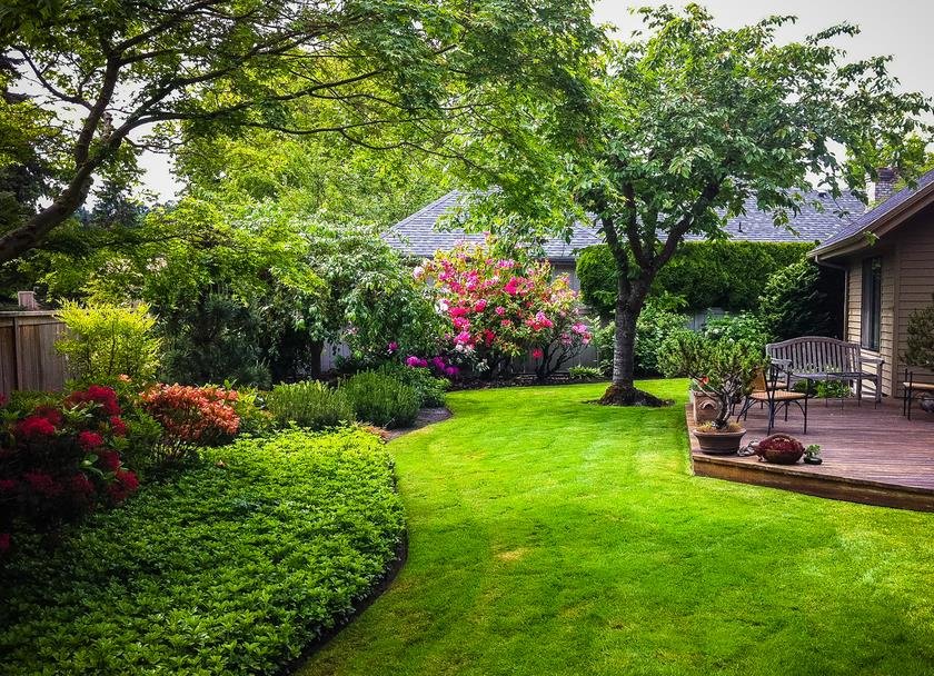 Photo of Premium Lawn Service