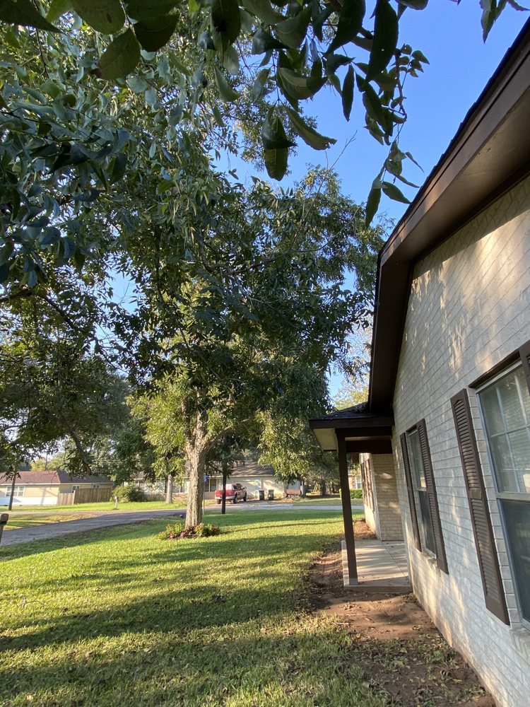 Photo of On Point Tree Service