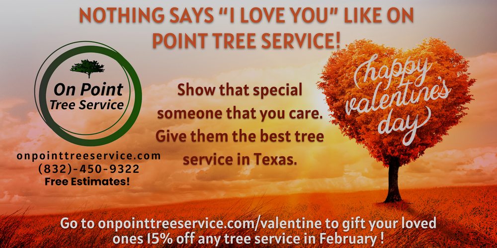 Photo of On Point Tree Service