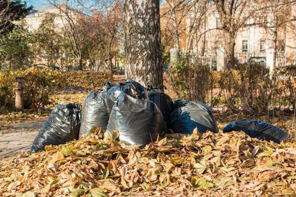 Photo of A Plus Lawn Care