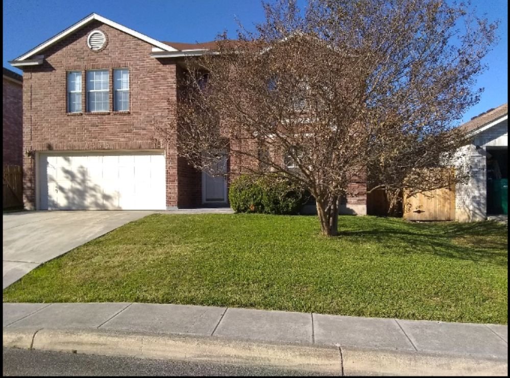 Photo of A Plus Lawn Care