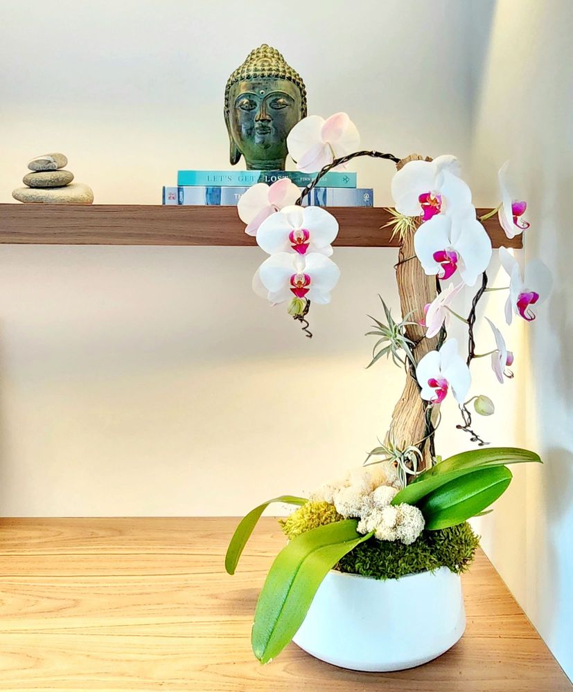 Photo of Cactus & Tropicals