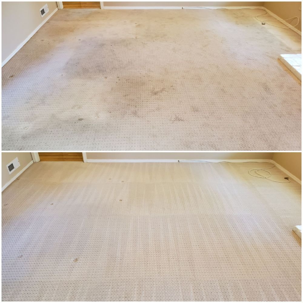 Photo of Elite Carpet Care