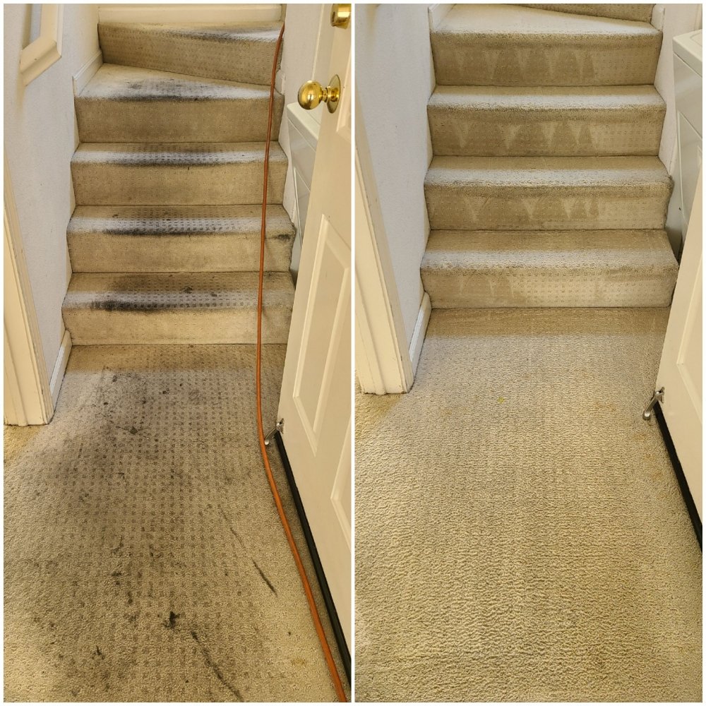 Photo of Elite Carpet Care