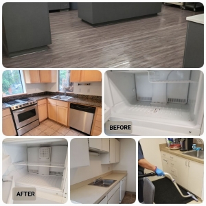 Vancouver Milis Cleaning Services