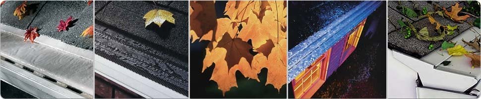 Photo of Sunshine Gutters