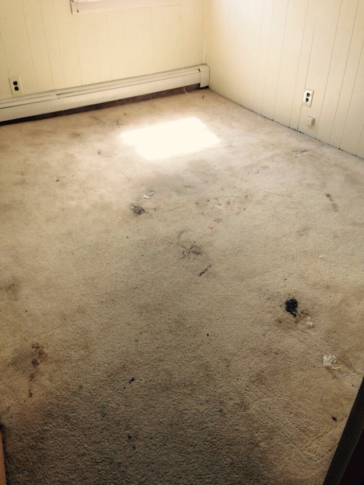Photo of Neat Freak Carpet Clean