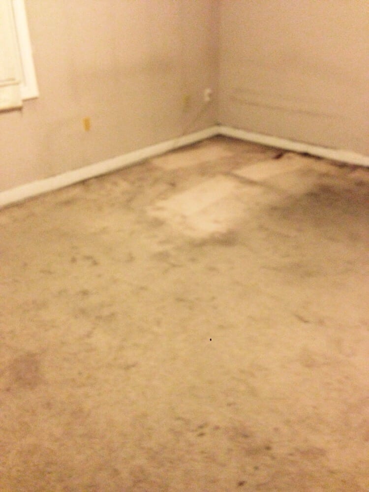 Photo of Neat Freak Carpet Clean
