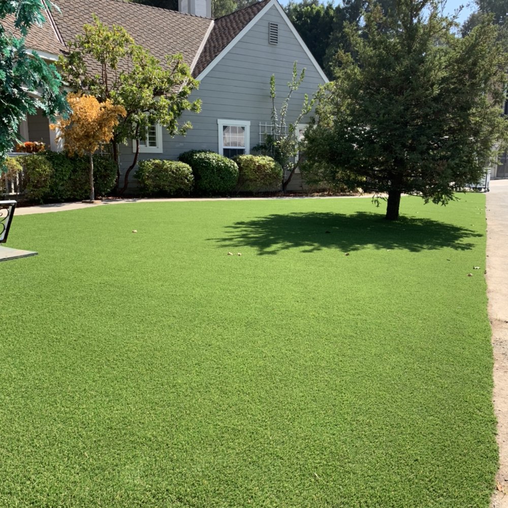Photo of Desert Turf