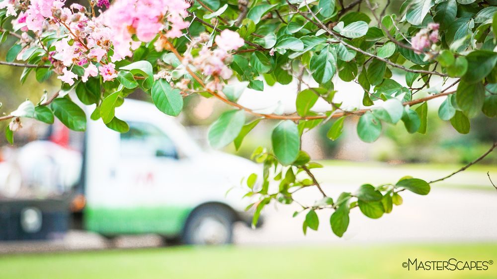 Photo of MasterScapes Lawn Care and Landscaping