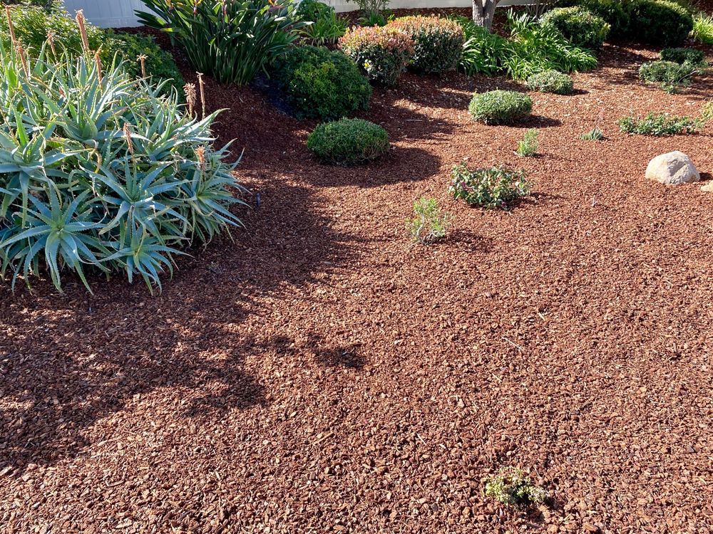 Photo of Montejo Landscaping