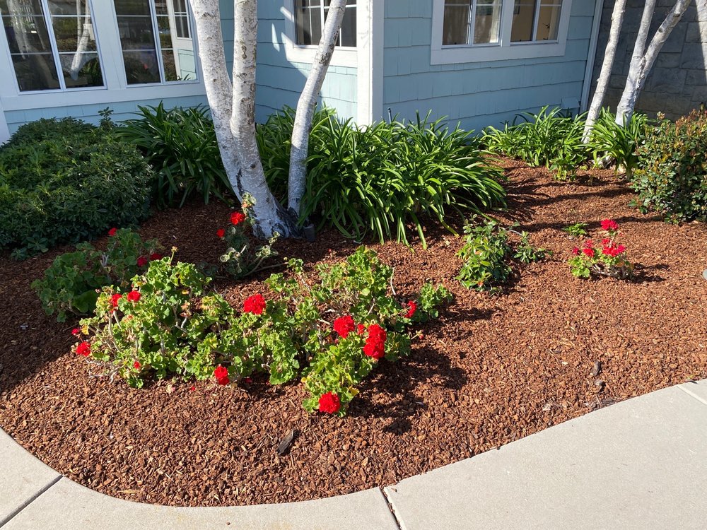 Photo of Montejo Landscaping
