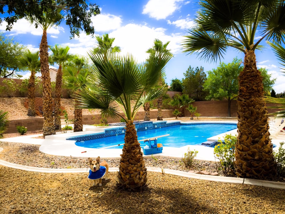 Photo of Full Pool Services