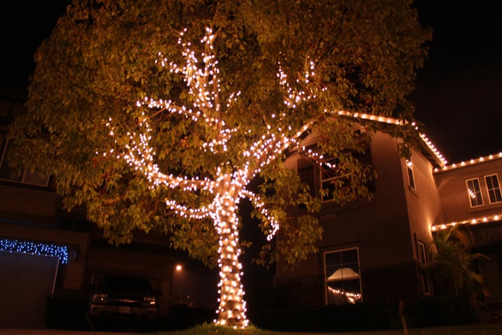 Photo of Illuminate Lighting