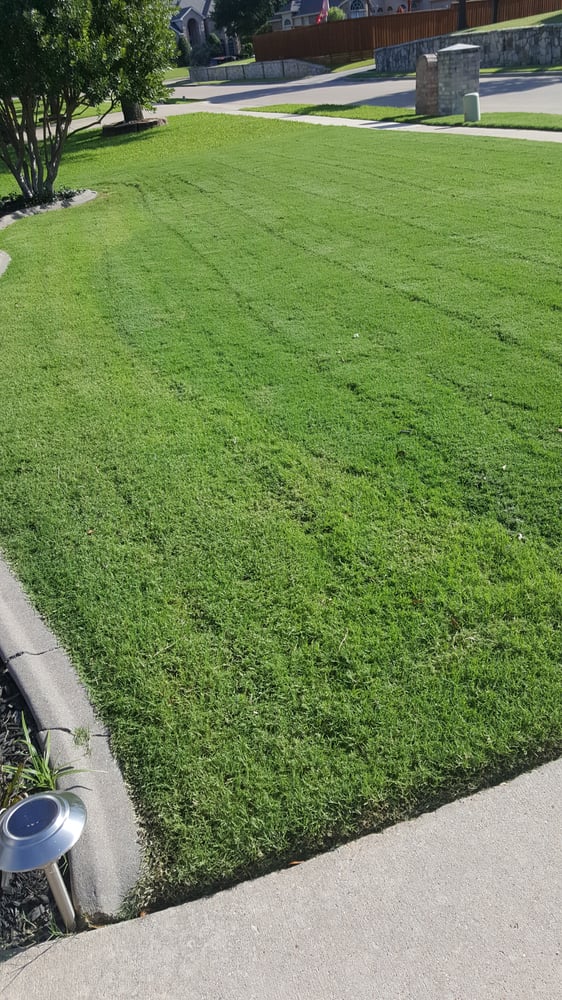 Photo of Arboreal Lawn & Landscape