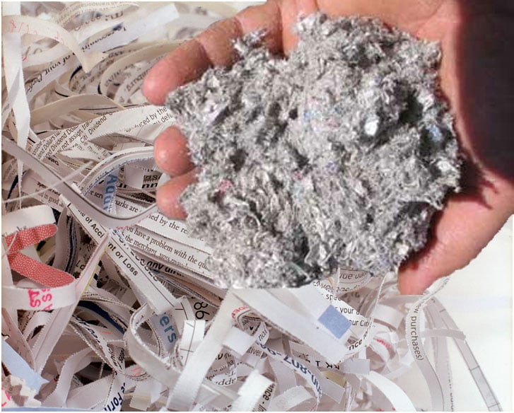 Photo of Southeast Cellulose