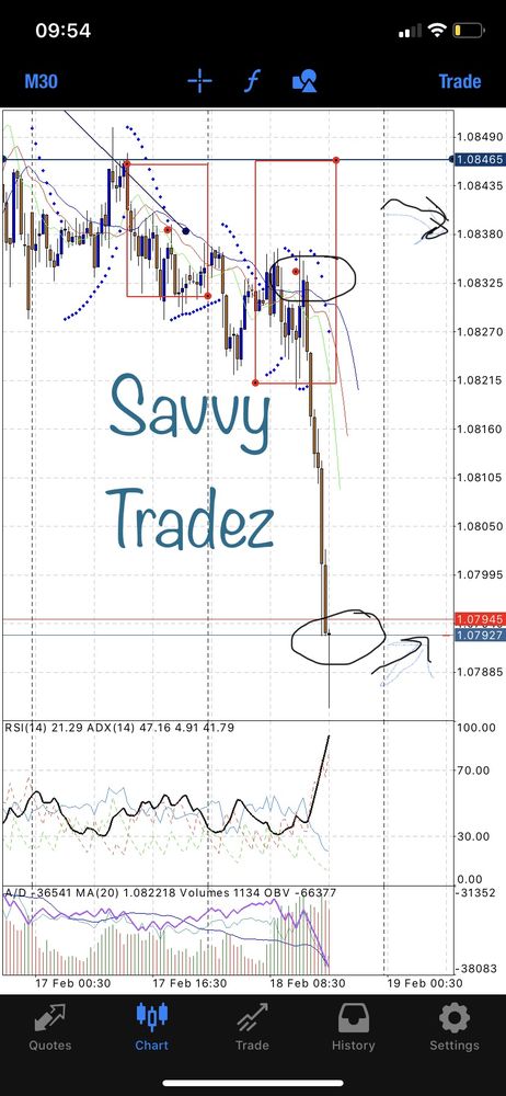 Photo of Savvy Tradez