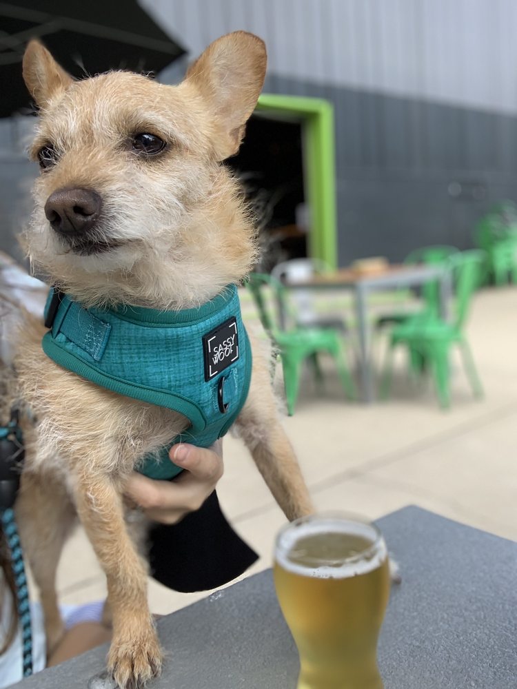 Photo of Third Space Brewing