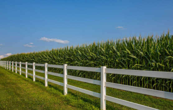 Photo of Harbison Fencing