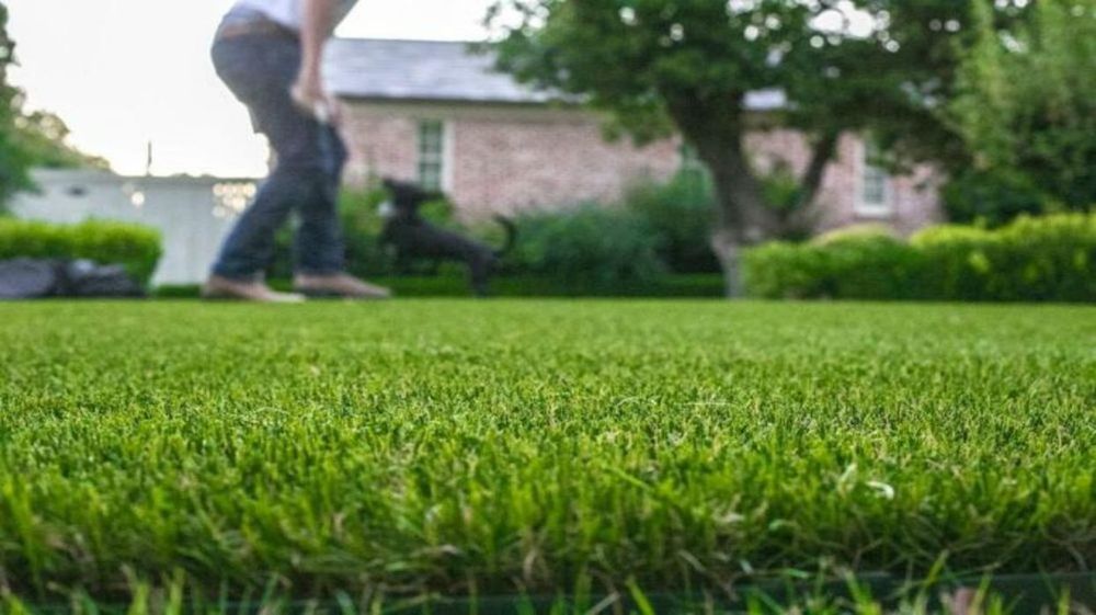 Photo of Magnolia Turf