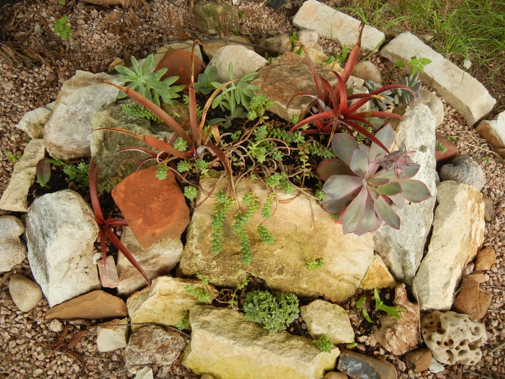 Photo of Artemantis Landscape