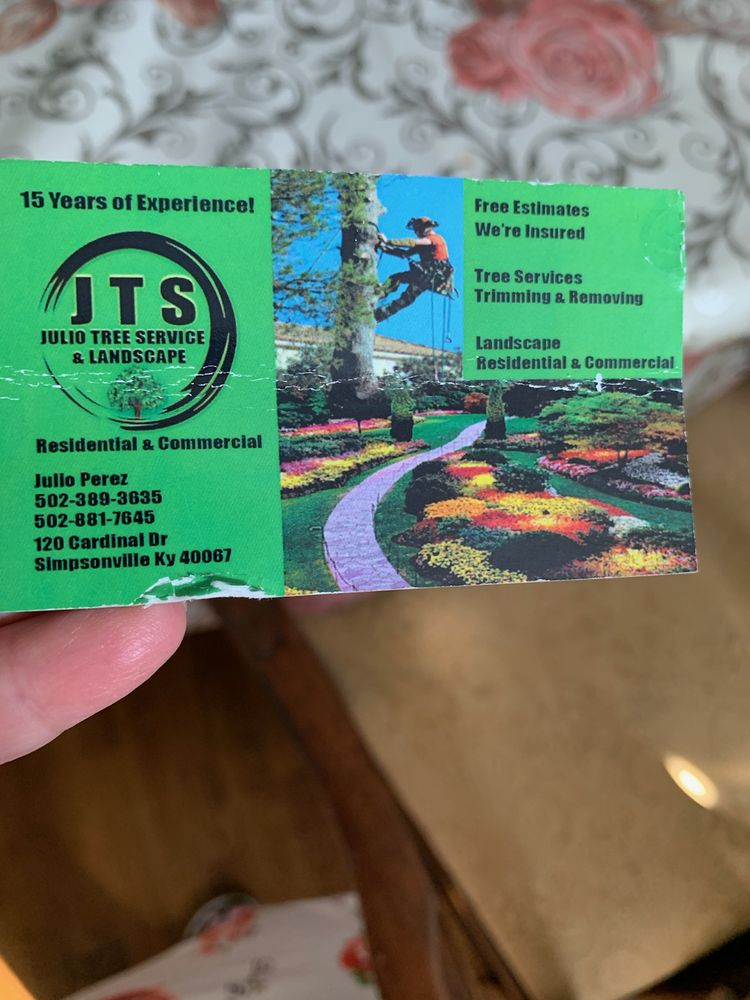 Photo of Julio Tree Service and Landscape