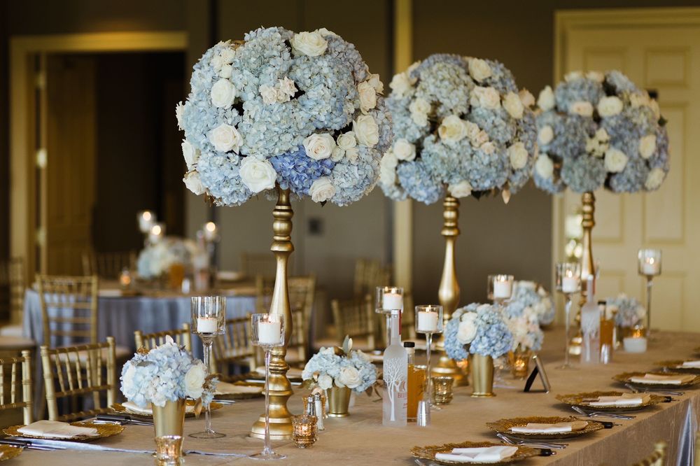 Photo of Yanni Design Studio