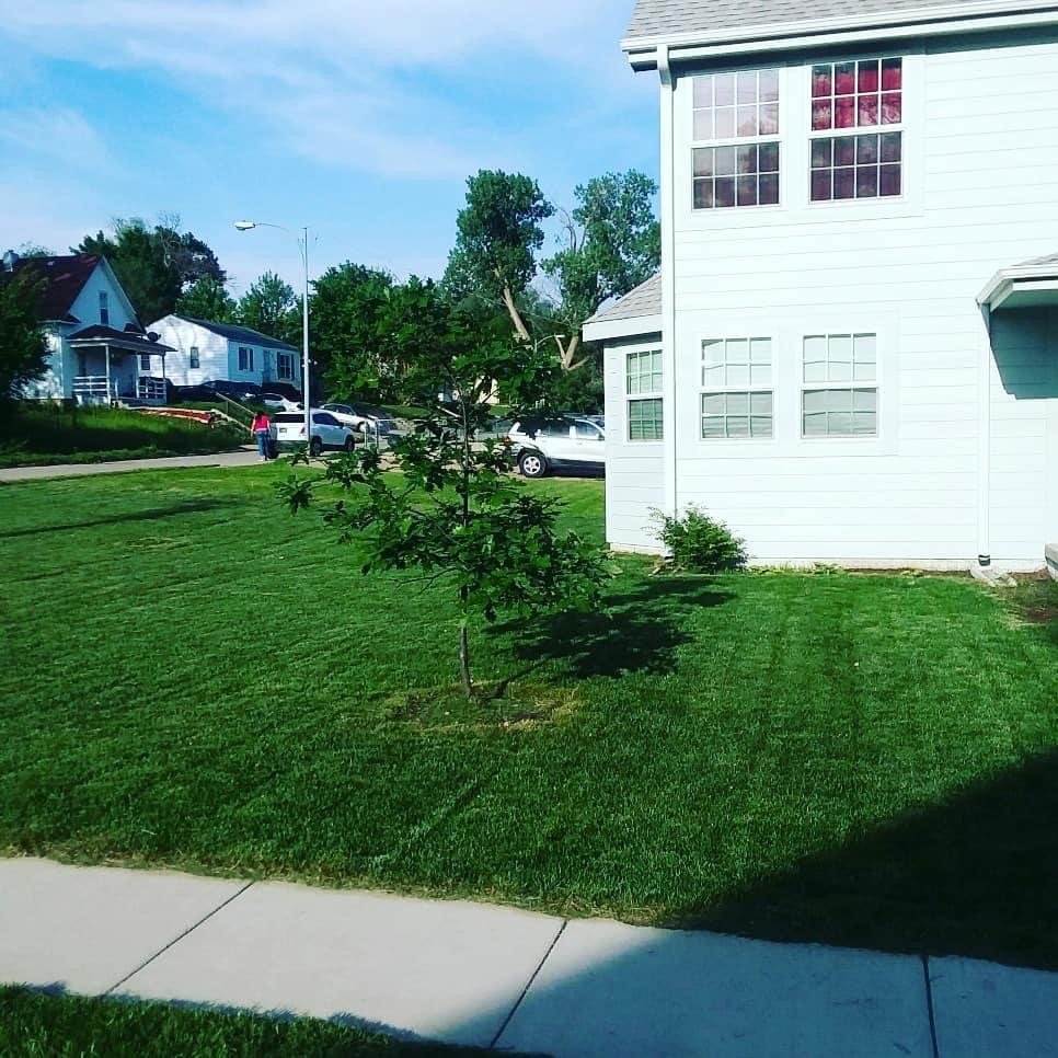 Photo of Jordan's Lawn Care