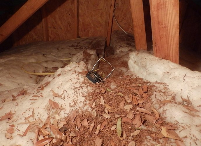 Photo of All Type Insulation Services